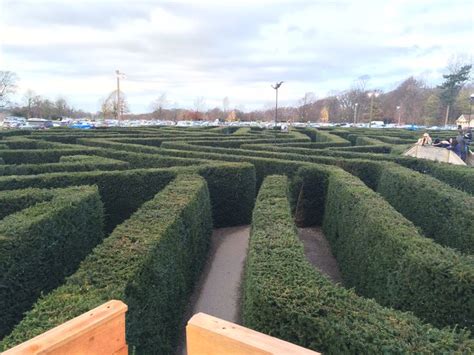 This is the view from the castle lookout in the maze. Stockeld Park certainly lives up to its ...