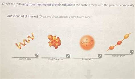 Solved Order the following from the simplest protein subunit | Chegg.com