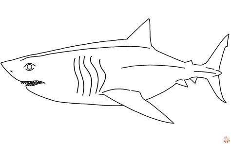 Prinditavad Megalodoni värvimislehed lastele ja täiskasvanutele tasuta