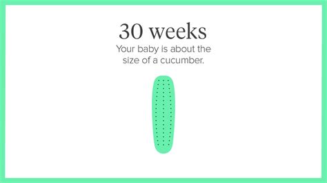 30 Weeks Pregnant: Symptoms, Tips, and More