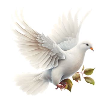 Dove Drawing Vector PNG, Vector, PSD, and Clipart With Transparent Background for Free Download ...