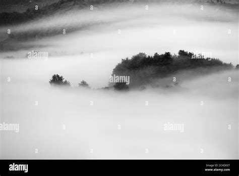 landscape with morning fog Stock Photo - Alamy