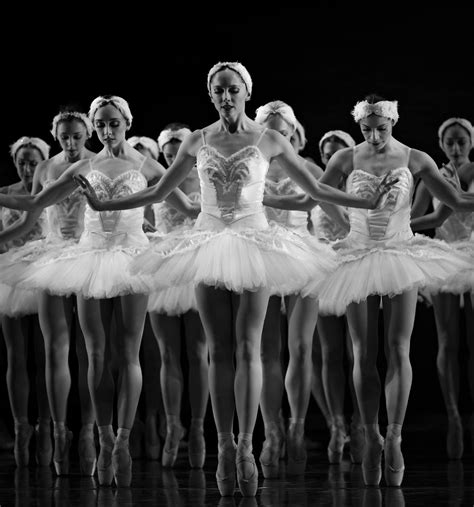 Cincinnati Ballet Dancers in Swan Lake (2013); Photography: Peter ...