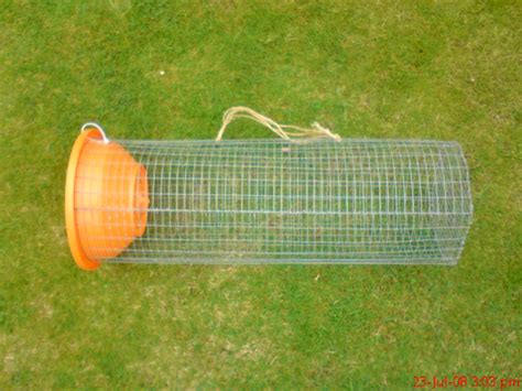 crayfish trap - Sporting Pictures - Pigeon Watch Forums