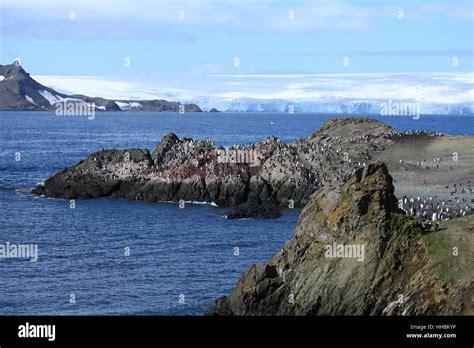 antarctic, glacier, south pole, iceberg, pole, scenery, countryside, nature Stock Photo - Alamy