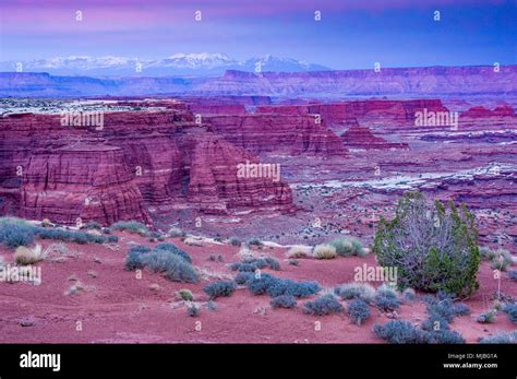 White crack camp hi-res stock photography and images - Alamy