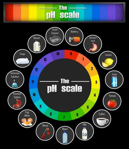 Science pH scale template 295875 Vector Art at Vecteezy