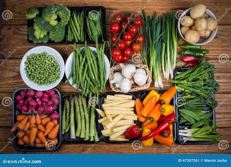 Farm fresh vegetables stock image. Image of health, farmers - 47207261