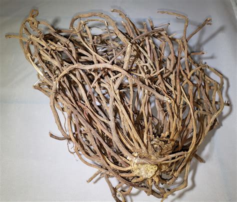 Sarsaparilla Root | NormasHerbs.com