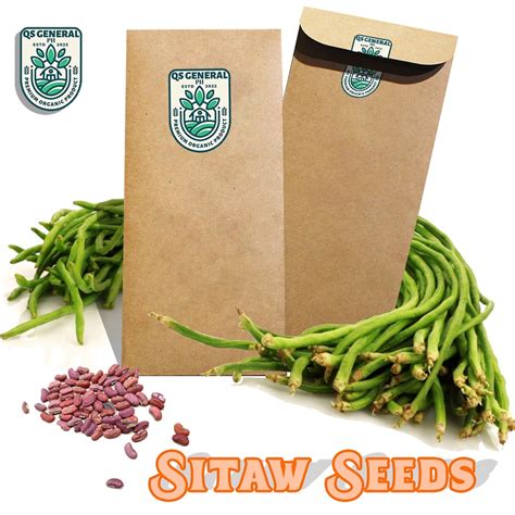 Quin Savie Sitao Haba Seeds 10pcs String Beans Long Hybrid Variety Protein Vitamin A Thiamin ...