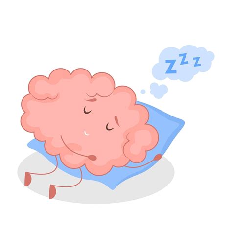 Sleep 'Sweet Spot' Protects the Brain, Study Suggests | Sleep Review