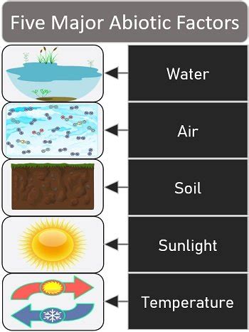 What are the Abiotic Factors of Ecosystem? Definition, Types and ...