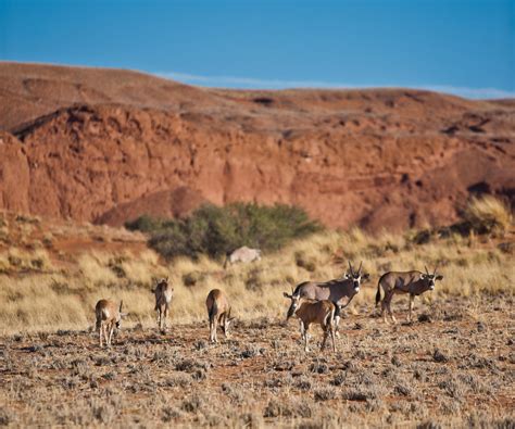 Namib Desert Lodge Gondwana Collection Namibia - Gallery