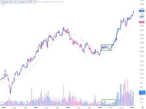 Cathie Wood Net Worth January 2025 | TraderLion