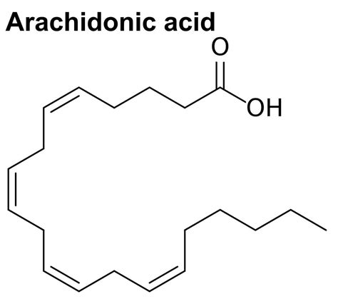 Arachidonic Acid Structure