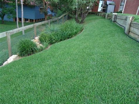 weed control for zoysia grass - wilburvanburen