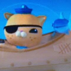 Kwazii Cat/Gallery | Octonauts Wiki | Fandom powered by Wikia