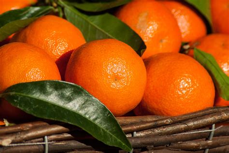 Clementine: nutrition facts and health benefits - Nutrition and Innovation