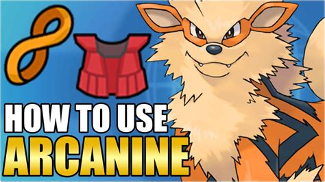 Best Arcanine Moveset Guide - How To Use Arcanine Competitive VGC Scarlet Violet - YouTube