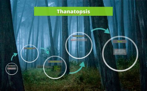 Thanatopsis by Corrie Luce on Prezi