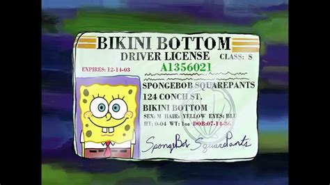 SpongeBob's Driver License Card for 10 Hours - YouTube