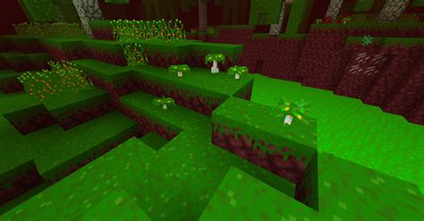 Nether Biome Suggestion: Green Nether Wart Forest (Images Included) : r/minecraftsuggestions