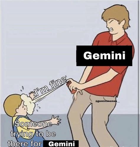 28 Funny and Relatable Gemini Memes | So Syncd