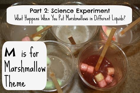 Marshmallow Science Experiment