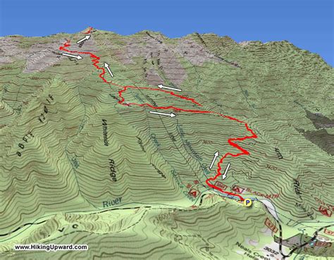 Mount Mitchell Trail Map