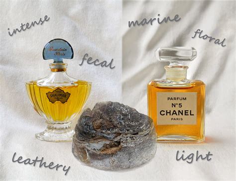 La gardenia nell'occhiello: Ambergris, floating gold (1/2)