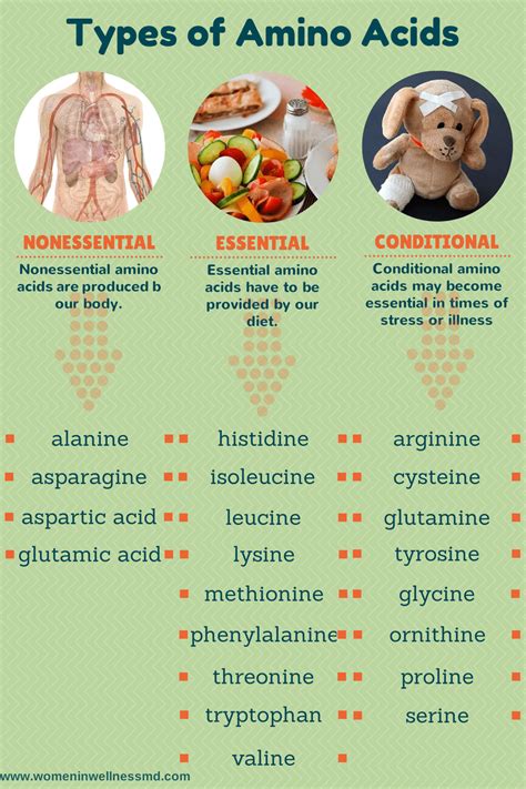 How to Get Enough Protein Without Eating Meat