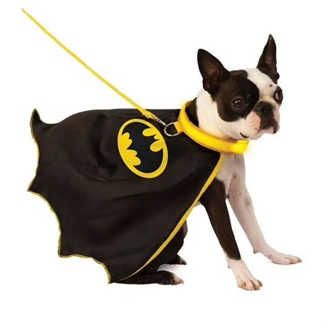 DC Comics Batman Cape Pet Costume : Target | Pet costumes, Batman cape ...