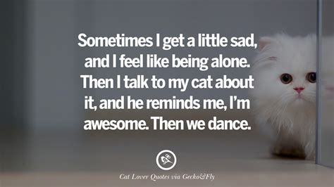 25 Cute Cat Images With Quotes For Crazy Cat Ladies, Gentlemen And Lovers