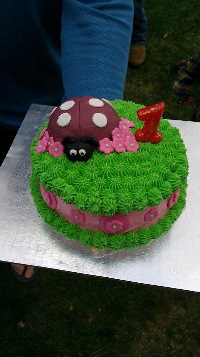 Lady bug smash cake | Amazing cakes, Cake, Cupcake cakes