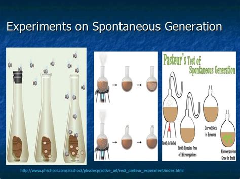 Biology cell theory-and-and spontaneuous generation