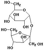 Exam 3 Answers