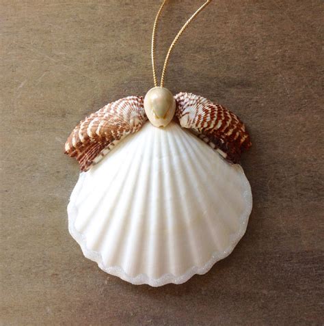 Winged Shell Angel – Sea Things Ventura