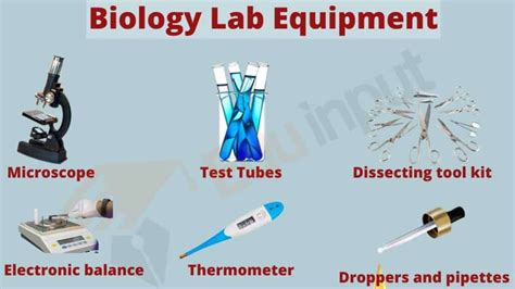 Laboratory Equipment | Laboratory Apparatus for Various Disciplines: A Comprehensive Guide