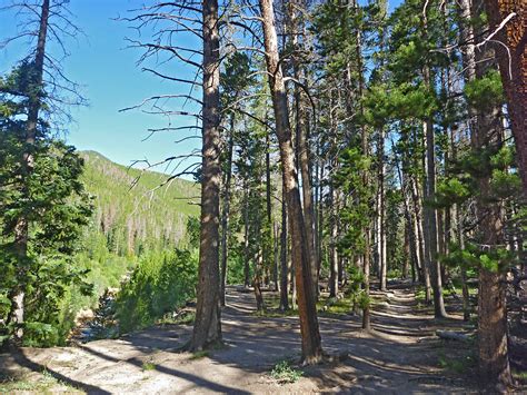 Path above Roaring River: Ypsilon and Spectacle Lakes, Rocky Mountain National Park, Colorado