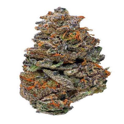 Girl Scout Cookies Strain - Ganja Estates Online Dispensary