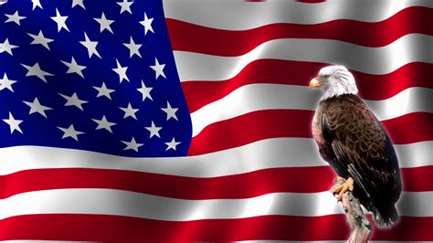 Bald Eagle In Front Of Waving Usa Flag Stock Motion Graphics SBV ...