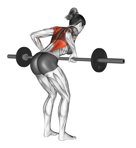 6 Best Types of Barbell Row Variations (with Pictures!) - Inspire US