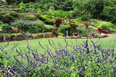 Maleny Botanic Gardens Maleny | Must Do Brisbane