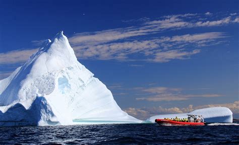 Whale Watching Twillingate Newfoundland | Twillingate Adventure Tours