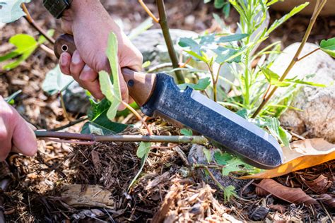 The $25 Tool That Every Gardener Needs: The Hori Hori Knife - Sunset Magazine