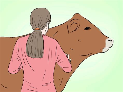 How to Identify Limousin Cattle: 4 Steps (with Pictures) - wikiHow