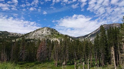 Where to Go Hiking in Nevada: Hike Your Home State Series - Slight North