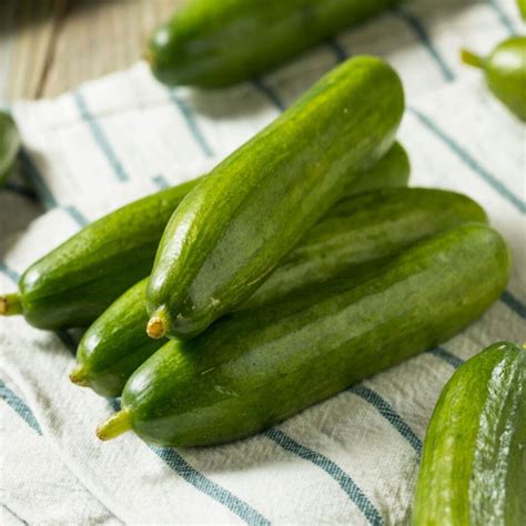 What Is a Persian Cucumber? (+ How to Use It) - Insanely Good