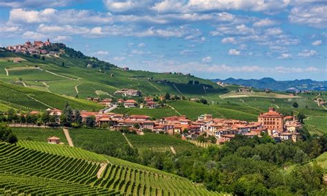 Barolo Wineries Tour, 1 day Langhe Experience • Alba Wine Tours, Italy