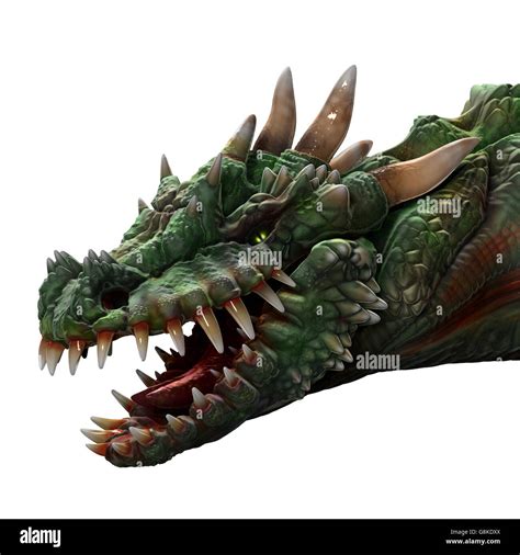 Green horned dragon portrait with large teeth, mouth open, on white ...